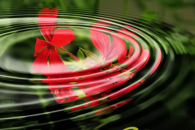 flower in motion