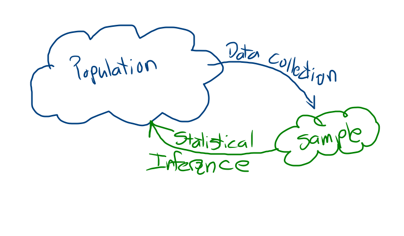 population, data collection, sample, statistical inference, population